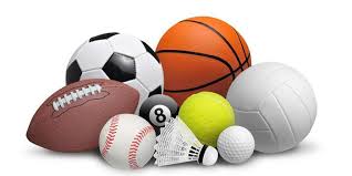 Bsports必一网页版 社旗室内健身房器材