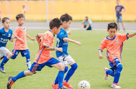 bsport体育官网 篮球基本功训练小学生器材